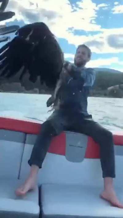 Man Saves an Eagle from Drowning