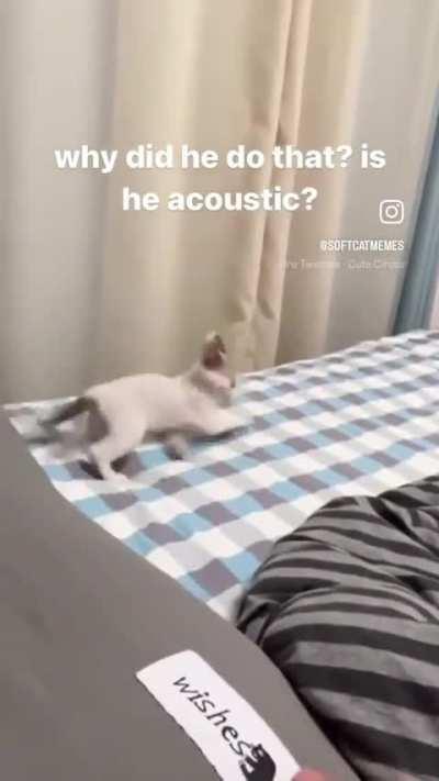 Acoustic wunk