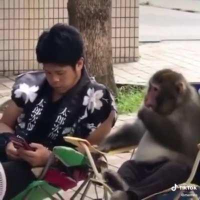 Monkey had a doubt so it asked the human..