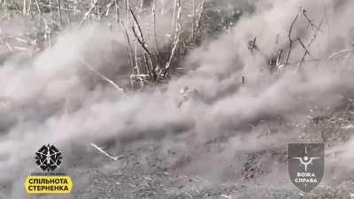 Ukrainian FPV drone attacks Russian infantryman. According to the source, the drone was en route to another mission, but the target was destroyed by a different drone. An observer noticed a Russian infantryman emerging from the tree-line and taking cover 