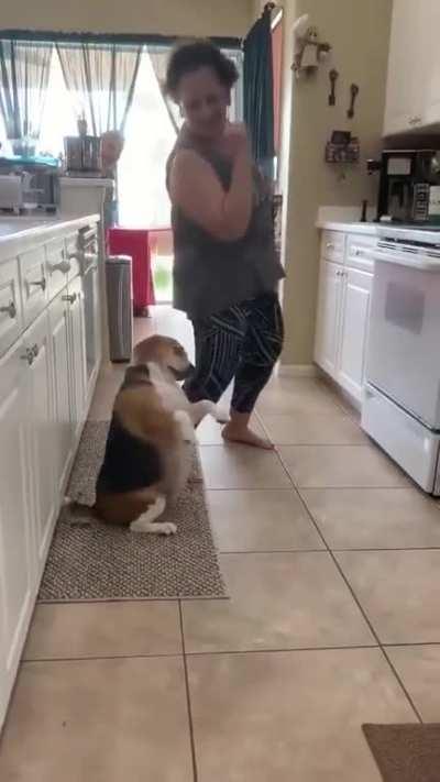 Beagle Vibin' with Mom