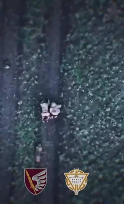 Ukrainian Drone Enforces Rule 'No Napping on Roads' Using Grenade Drop. Ukraine, June 2024