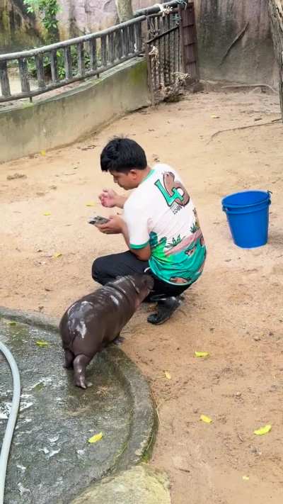 Rawr 🦛 👹 so cute 🥰 