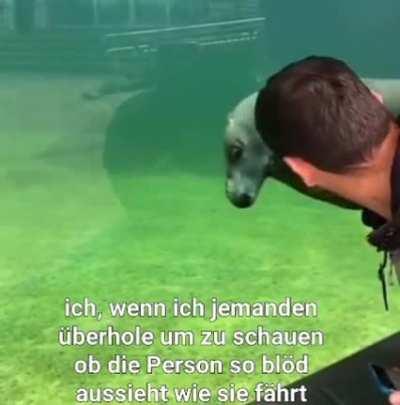 ich👀iel