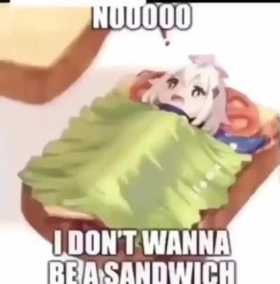 Sandwich