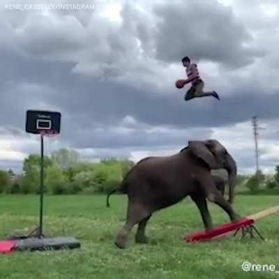 Dunking with the help of an elephant.