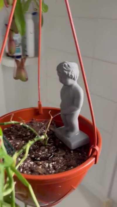 I bought my houseplants this miniature peeing statue.