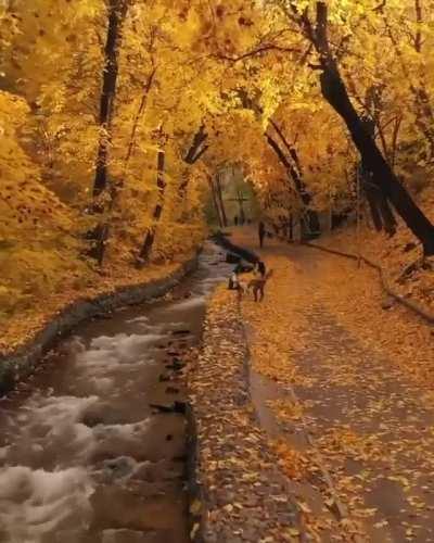 Autumn in Japan