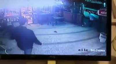 Angry Turkish Cat attacks the dog of a man entering the cafe