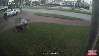 Pitbull being walked by a kid makes a beeline towards another dog