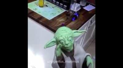 R.I.P Yoda