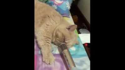 Cat snoring into a microphone 2