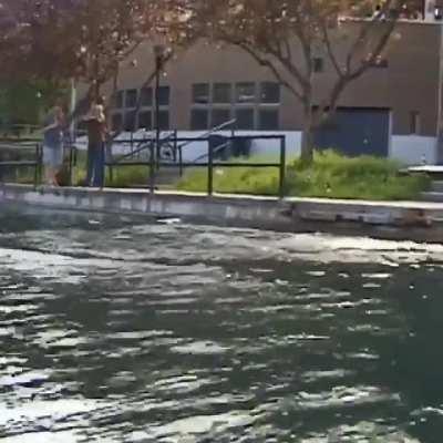 @marialatia2887 video #465171