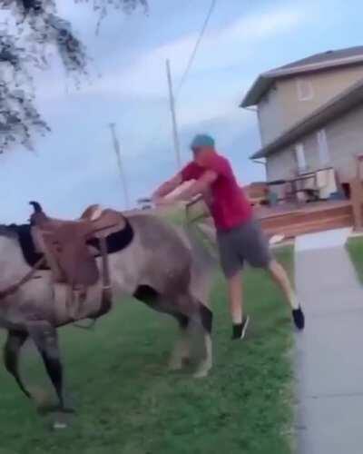 HMFT after I get kicked by a horse