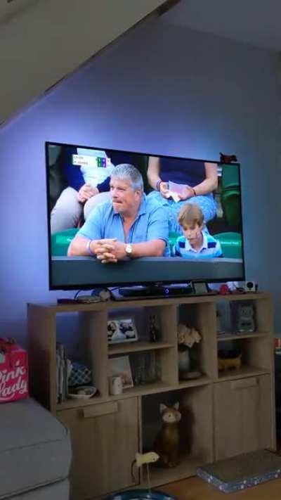 Kid falls off chair at Wimbledon