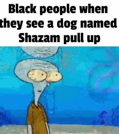 I has a dream that people who named their dogs &quot;Shazam&quot; were significantly more likely to assault black people. Don't ask, I don't know why.