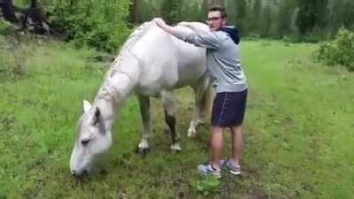 WCGW trying to ride a wild horse