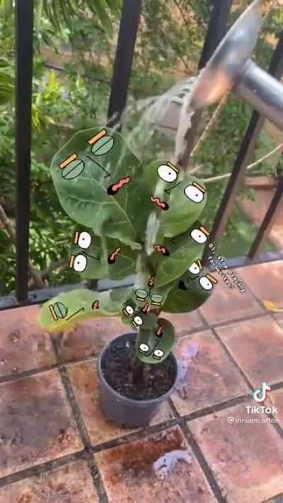 I got sent here from over at r/houseplants, I hope you find this humble offering funny