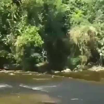 bunch of dudes sliding down a slippery rock with style