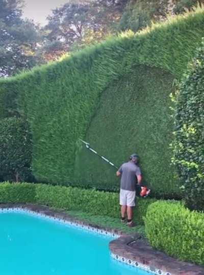 Trimming tall hedges with ease