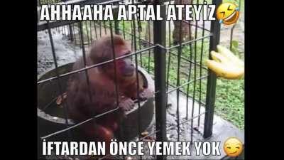 atayis kardeşimi eyitiyorum 👨‍🏫🍌🐒