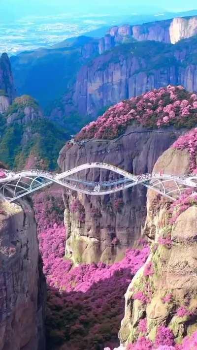 The Ruyi bridge during springtime.