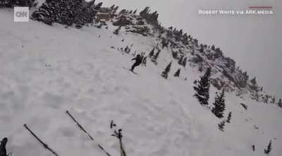 See the moment this dog is rescued after being buried by an avalanche