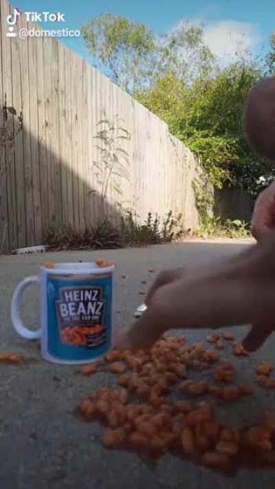 Me and the bois found our beanz