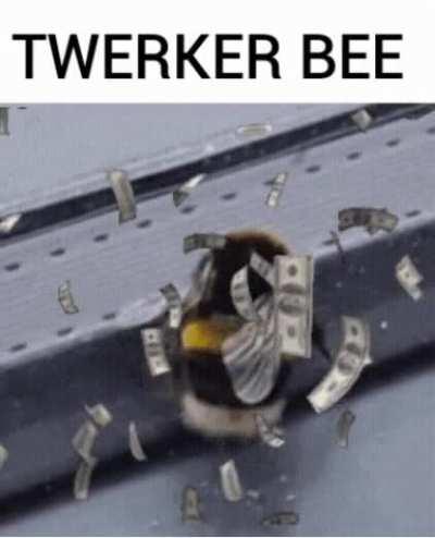 twerker twerker busy bee