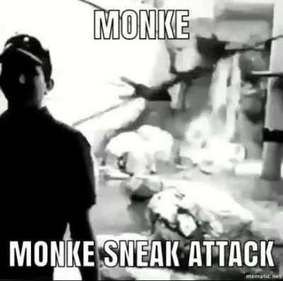 Monke creep