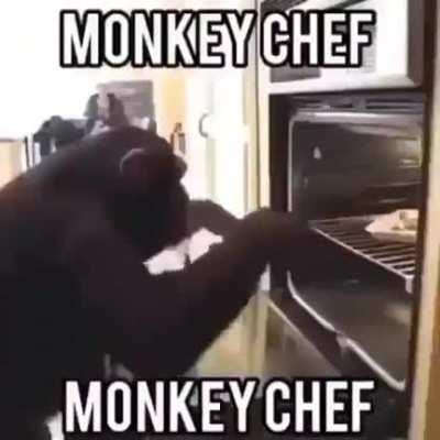 Monkey Chef Monkey Chef Monkey Chef