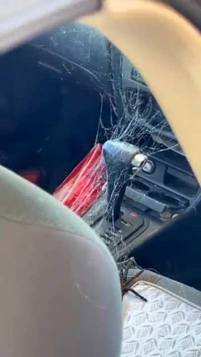 Reasons to never go to Australia: a Hunstman Spider will fill your car with its web.