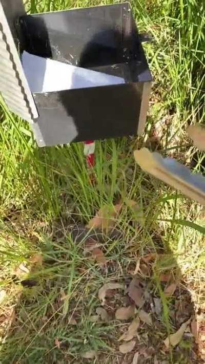 Checking the mailbox in Australiaâ¦ (apologies for the poor video, my fight or flight kicked into gear)