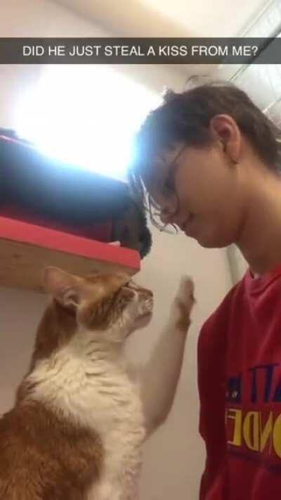 Cat gives owner a kiss