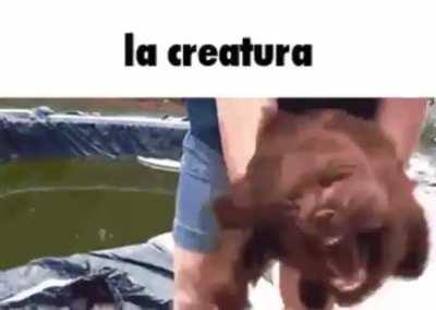 La creatura