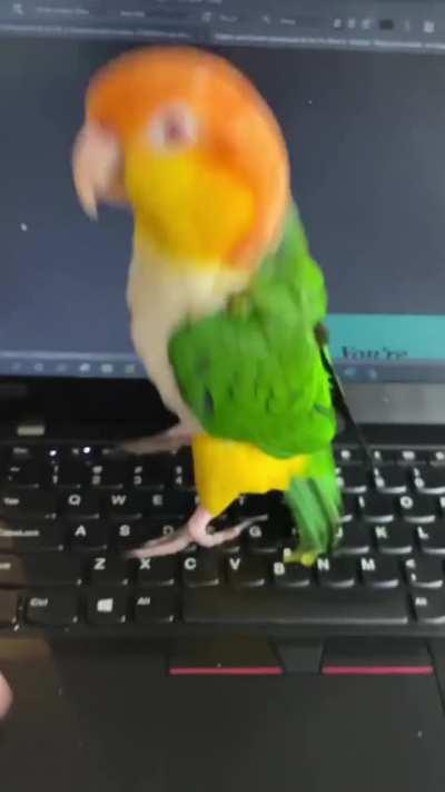 &quot;Look, I can type faster than you&quot;