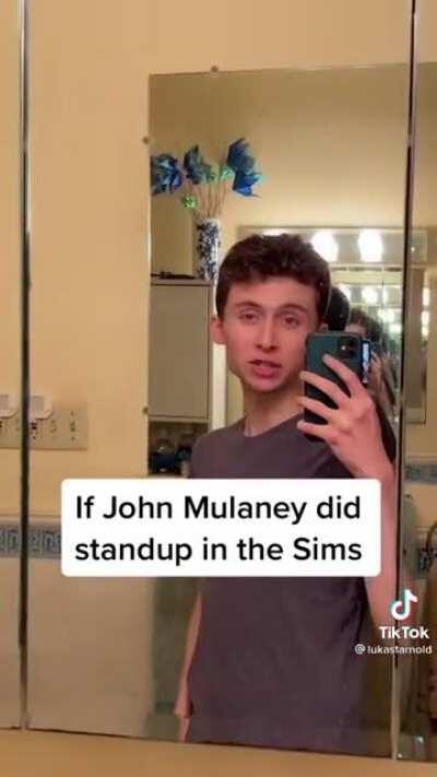 If John Mullaney did stand up in the Sims