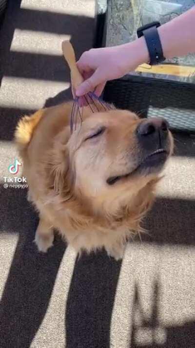 doggo massage