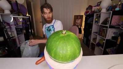 when coco melon wins