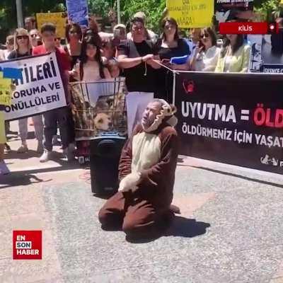 Kilis'te sokak köpekleri için düzenlenen bir protesto dan ilginç bir kare