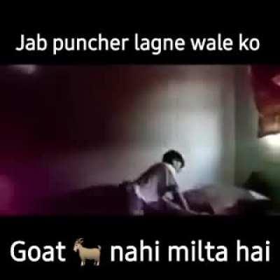 Dear bakri