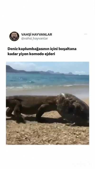 Oruspu Çocuğu yine bildiğimiz gibi 