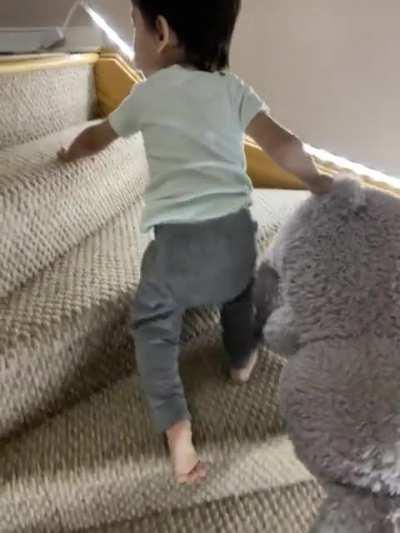 Dragging a bunny up the stairs