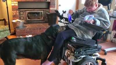 Disabled lady trained her dog to pick up her phone when she drops it.