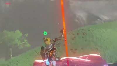 [BOTW] A trickshot i did