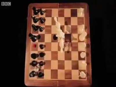 Mittens to play and mate in 2 : r/AnarchyChess