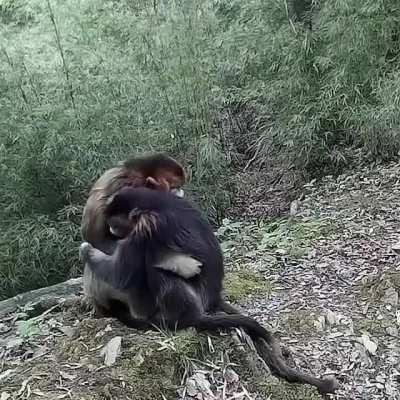 Sometimes we all just need a Hug