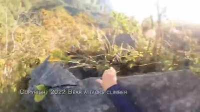 Rock Climber bear encounter