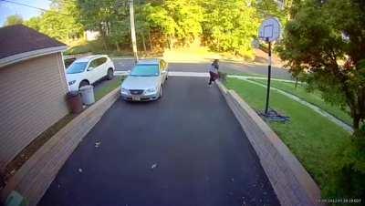 Friend and their dog getting sprayed by a skunk