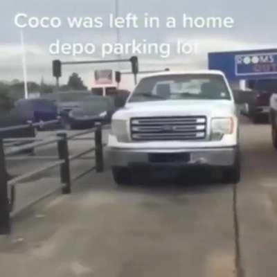 coco